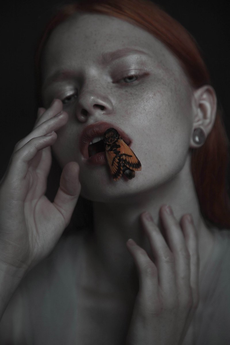 ๐บ๐ฆ Lesya Shevchenko tweet media