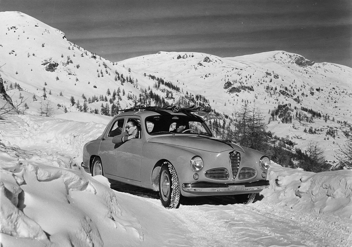 archistar tweet media