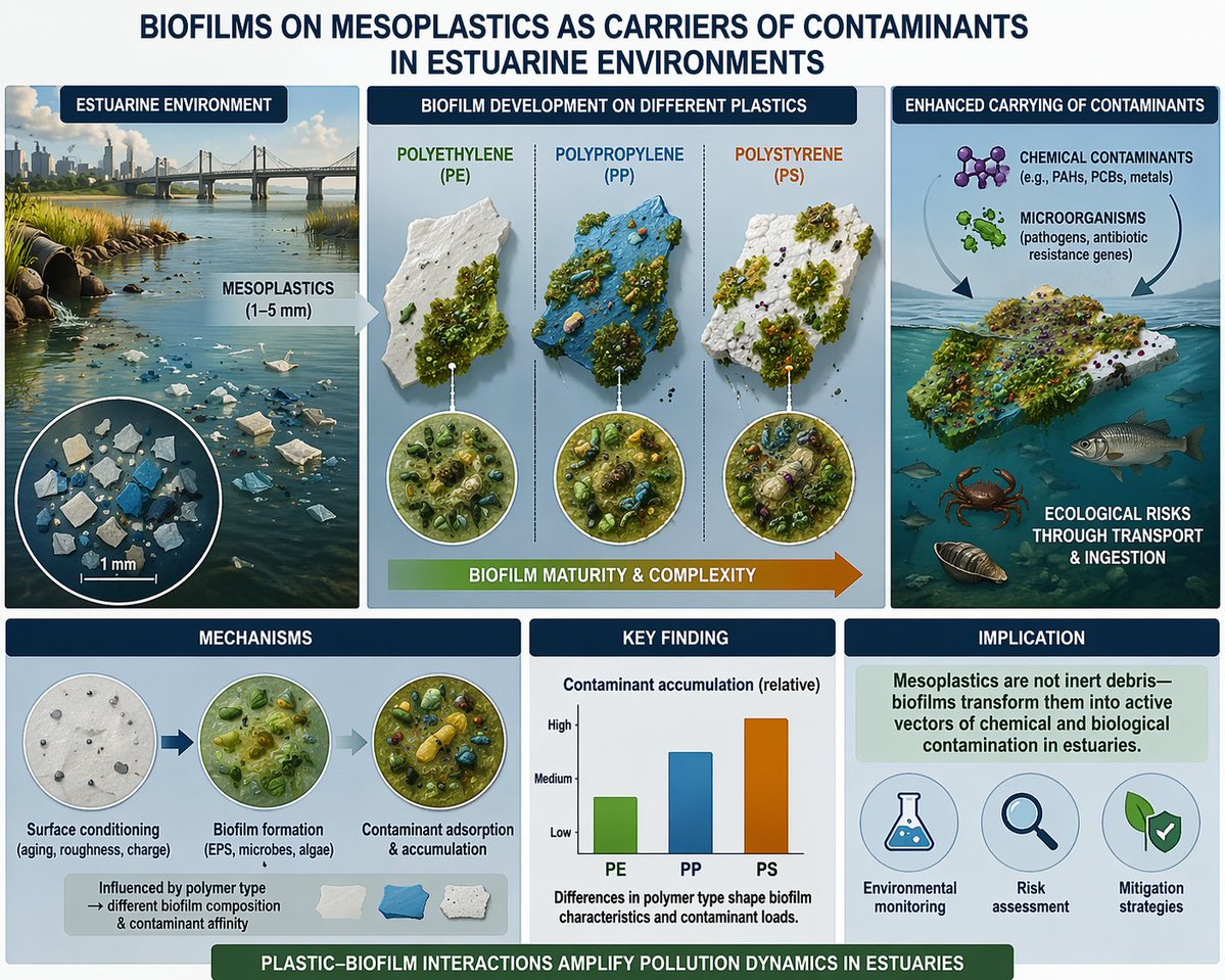 Istanbul University, Institute of Marine Sciences tweet media