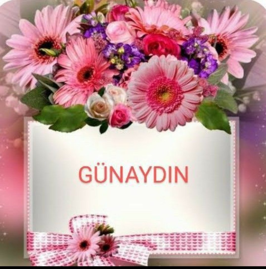 Ada742251563262's tweet image. #endex #benzin #zam #Cumhurbaşkanım #Gunaydın