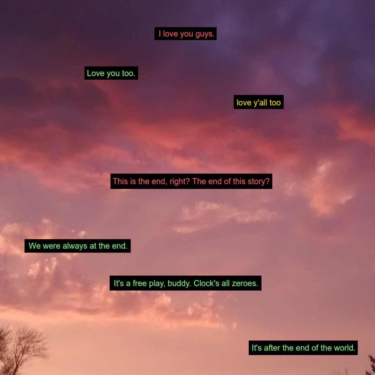 mothcomputer tweet media