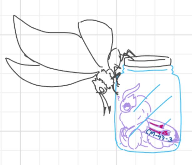 🦊Yari🐔 tweet media