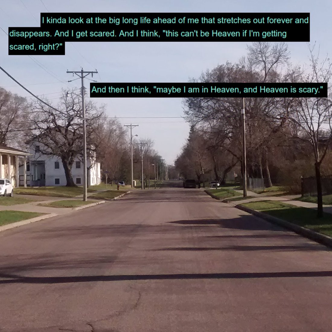 mothcomputer tweet media