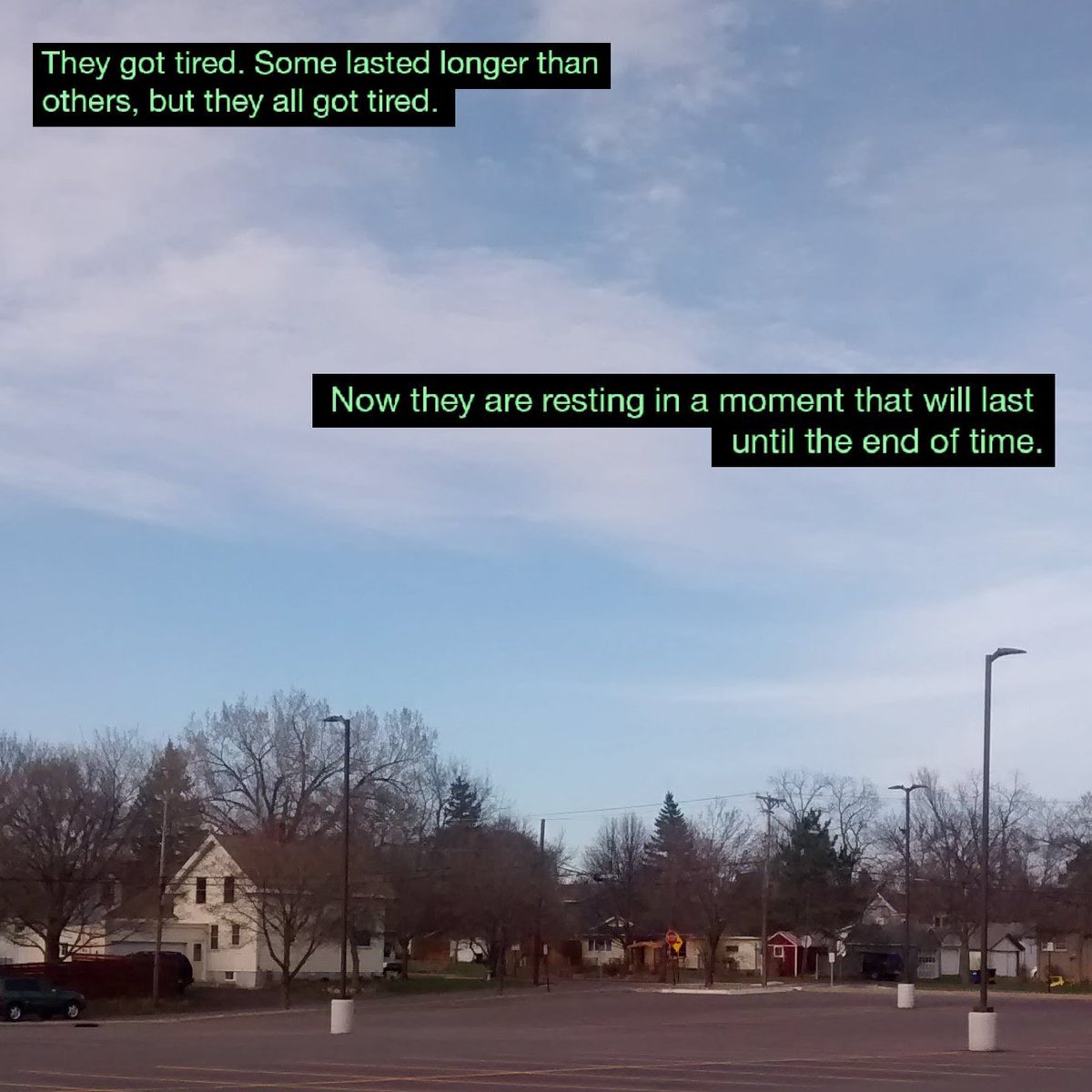 mothcomputer tweet media