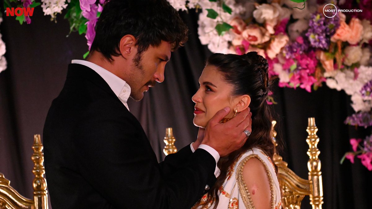 Halef: Köklerin Çağrısı tweet media