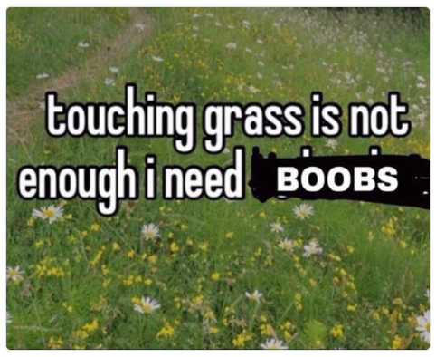 capt.zen.petabyte 🇦🇺🏴‍☠️ tweet media