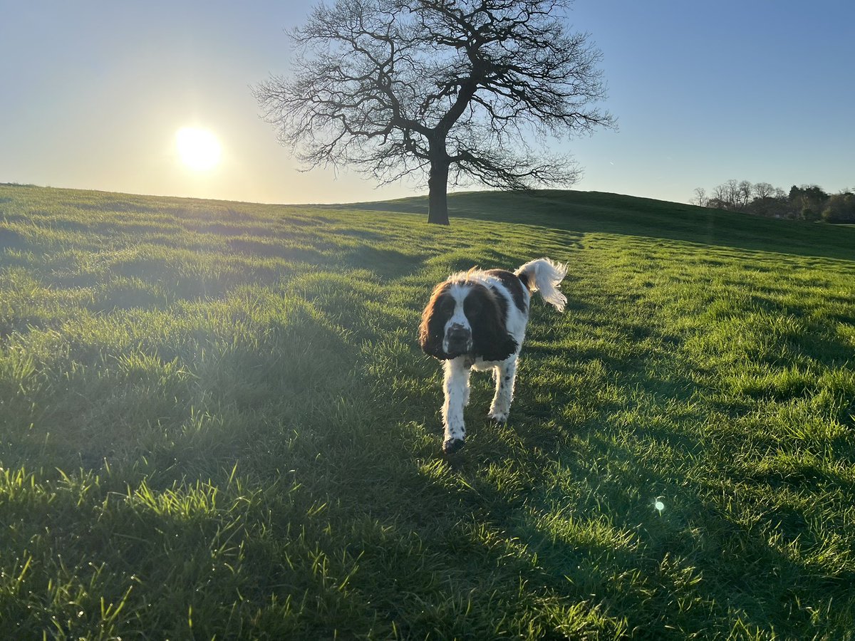 Morning pals, Happy Tuesday

Been for my bimble with D, we have sunshine

Helping M WFH today

Do hope your week is going well

How are things?