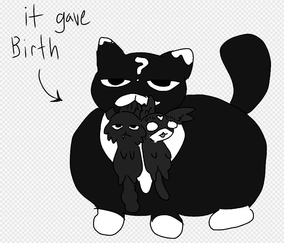 🦎🌵 riley tweet media