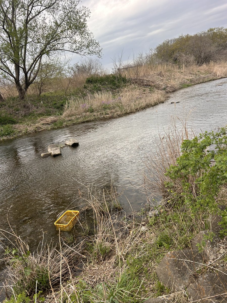 さくたろう tweet media