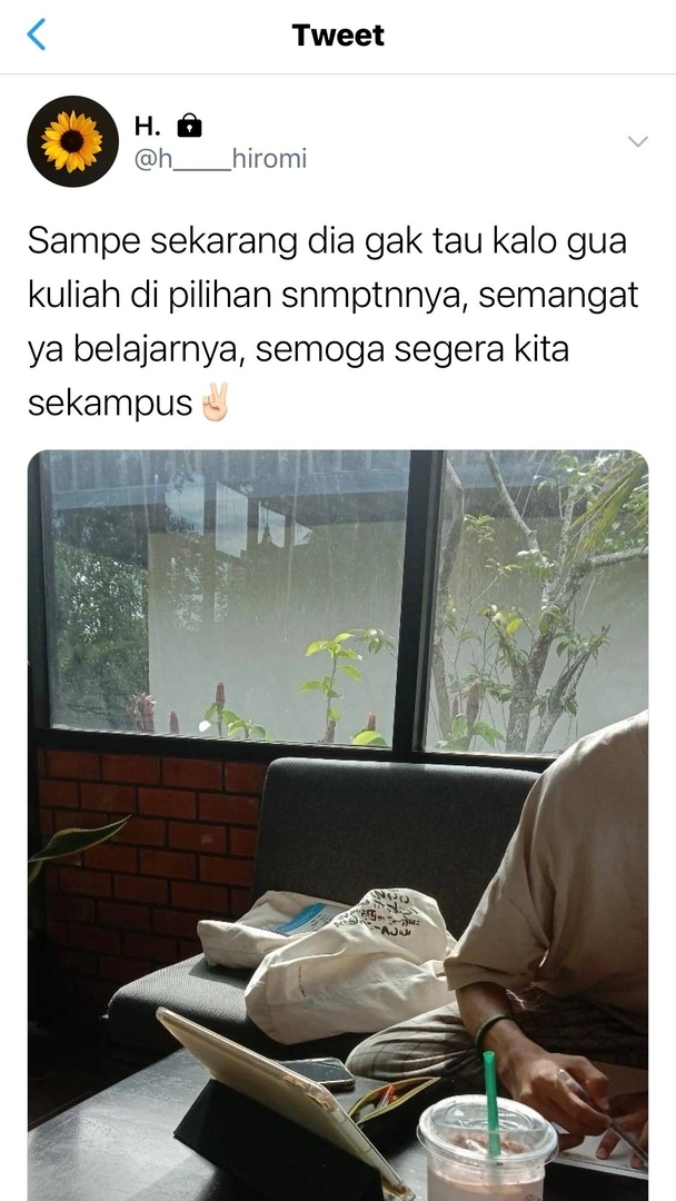 Jujutsu Fess tweet media