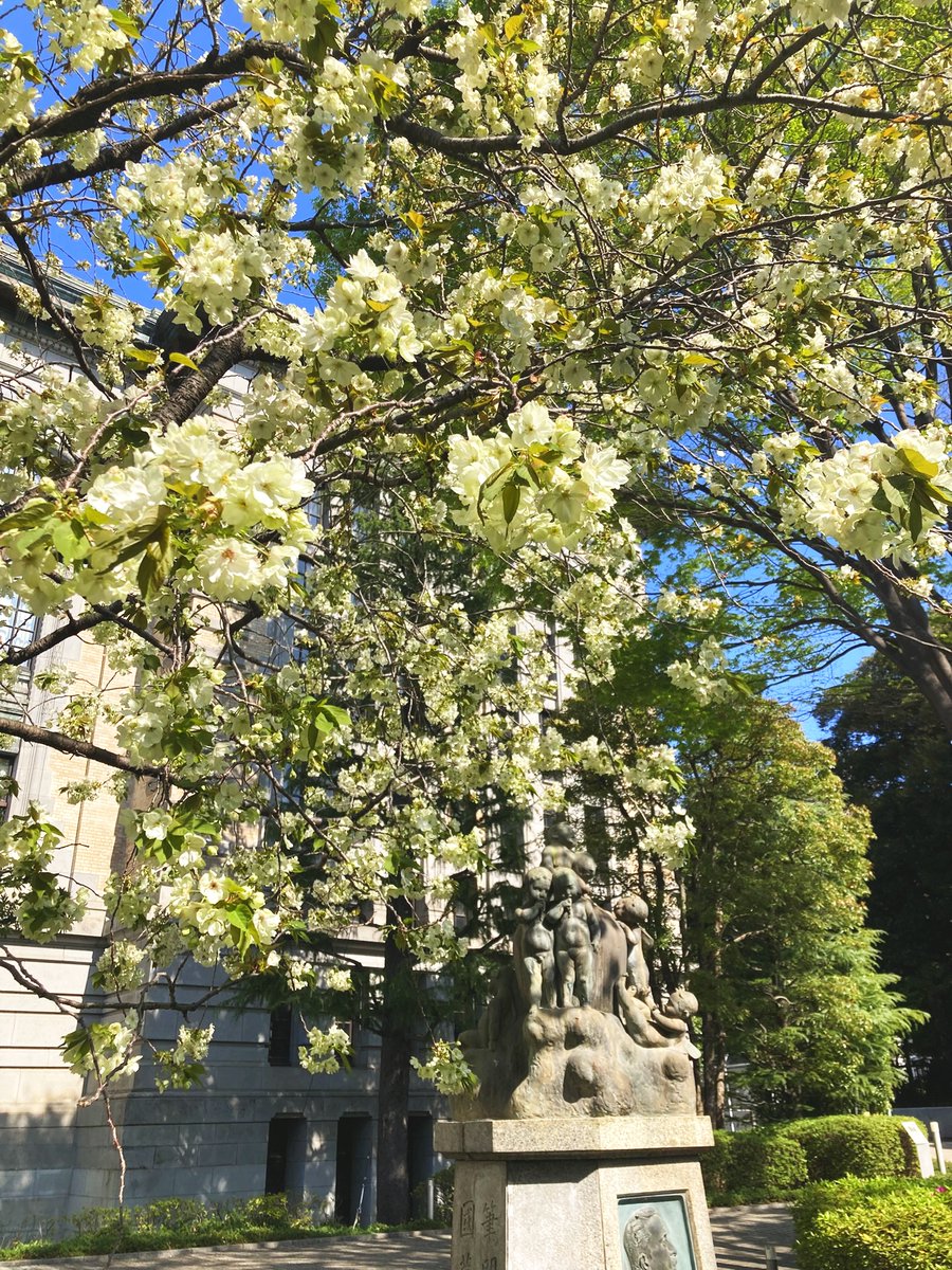 国立国会図書館国際子ども図書館公式 tweet media