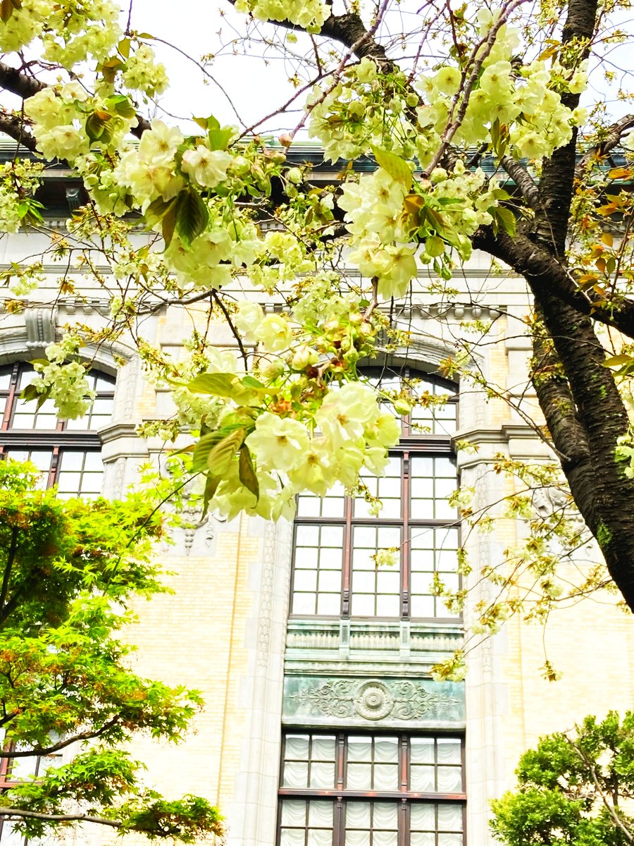 国立国会図書館国際子ども図書館公式 tweet media