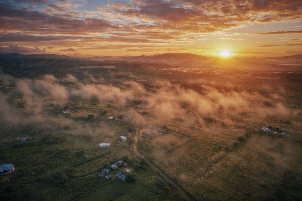 Sive M. Photography tweet media