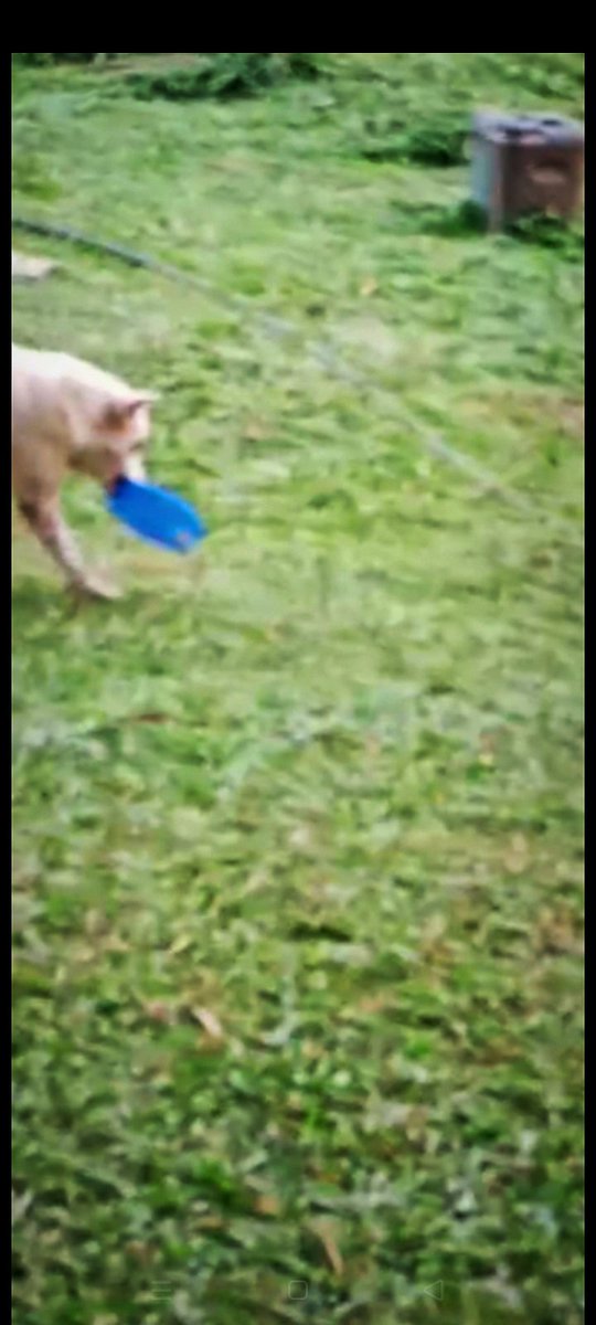 Nigel Green tweet media