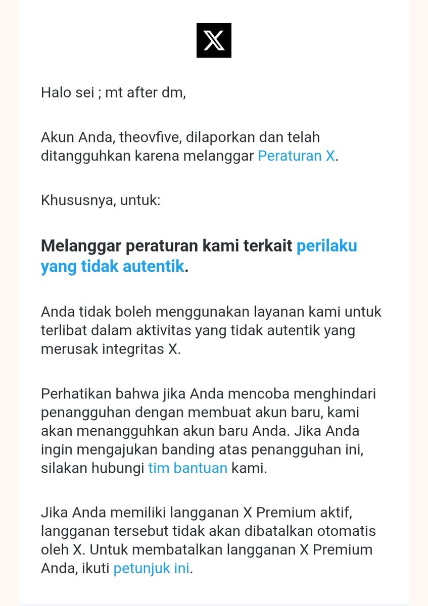 seis ; mt after dm tweet media