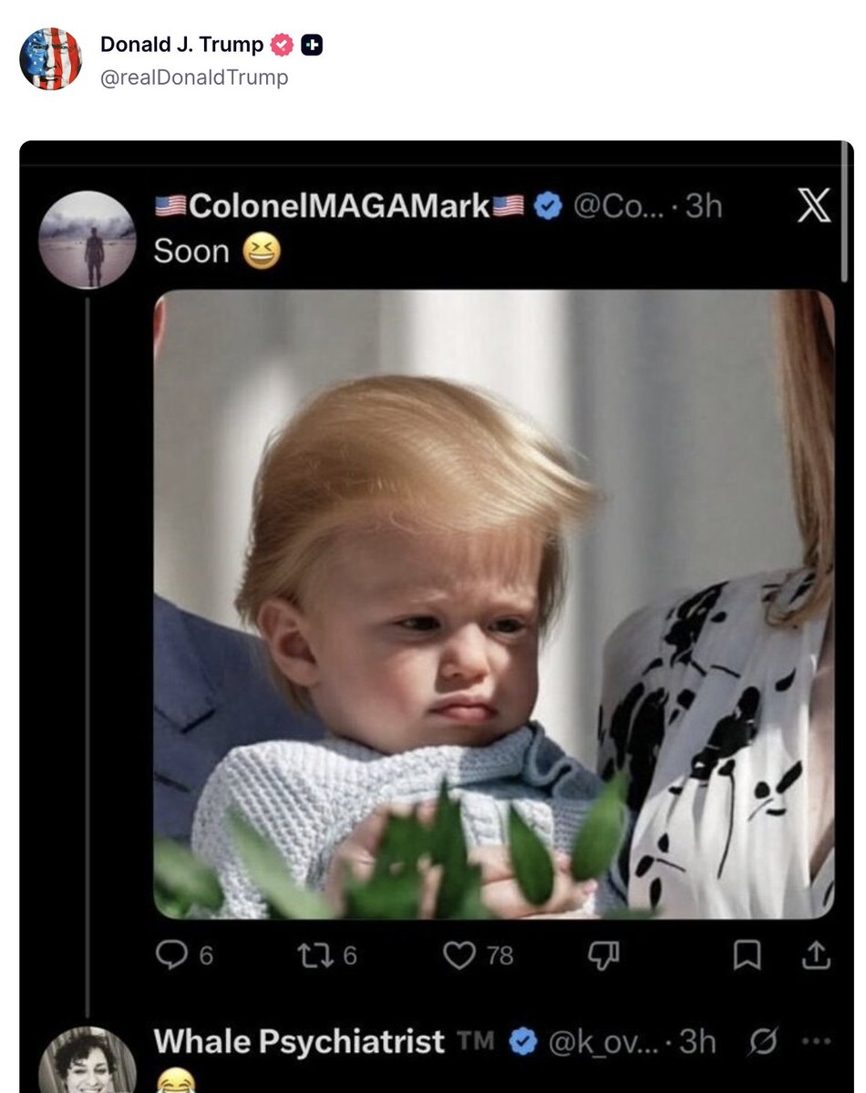 DragonDotEth tweet media