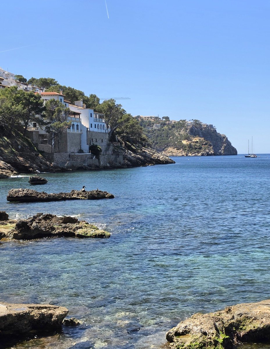 Gary Stanford tweet media