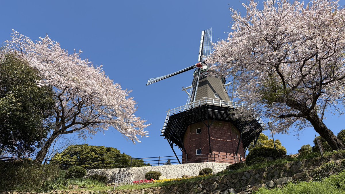 レゾナック永源山公園 tweet media