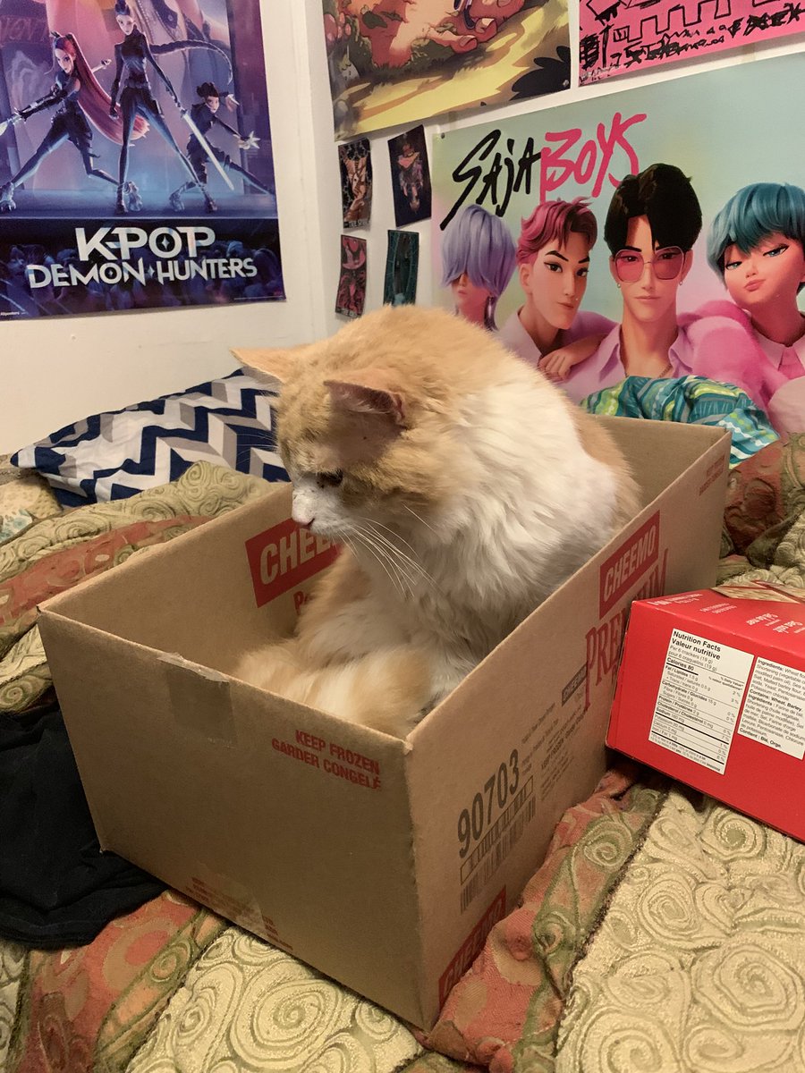 🩸🦇『jedidiah / leif / alice』 tweet media