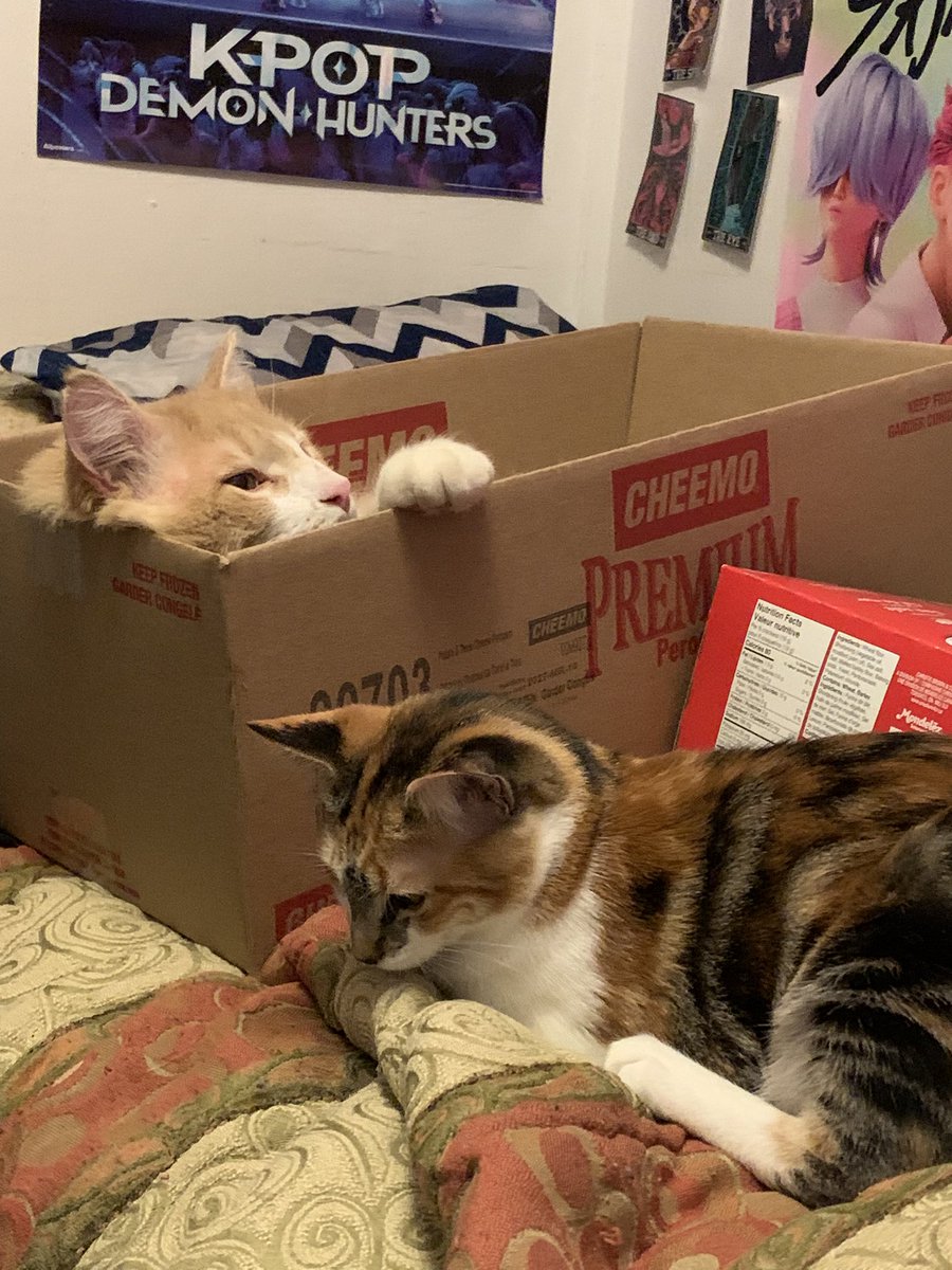 🩸🦇『jedidiah / leif / alice』 tweet media