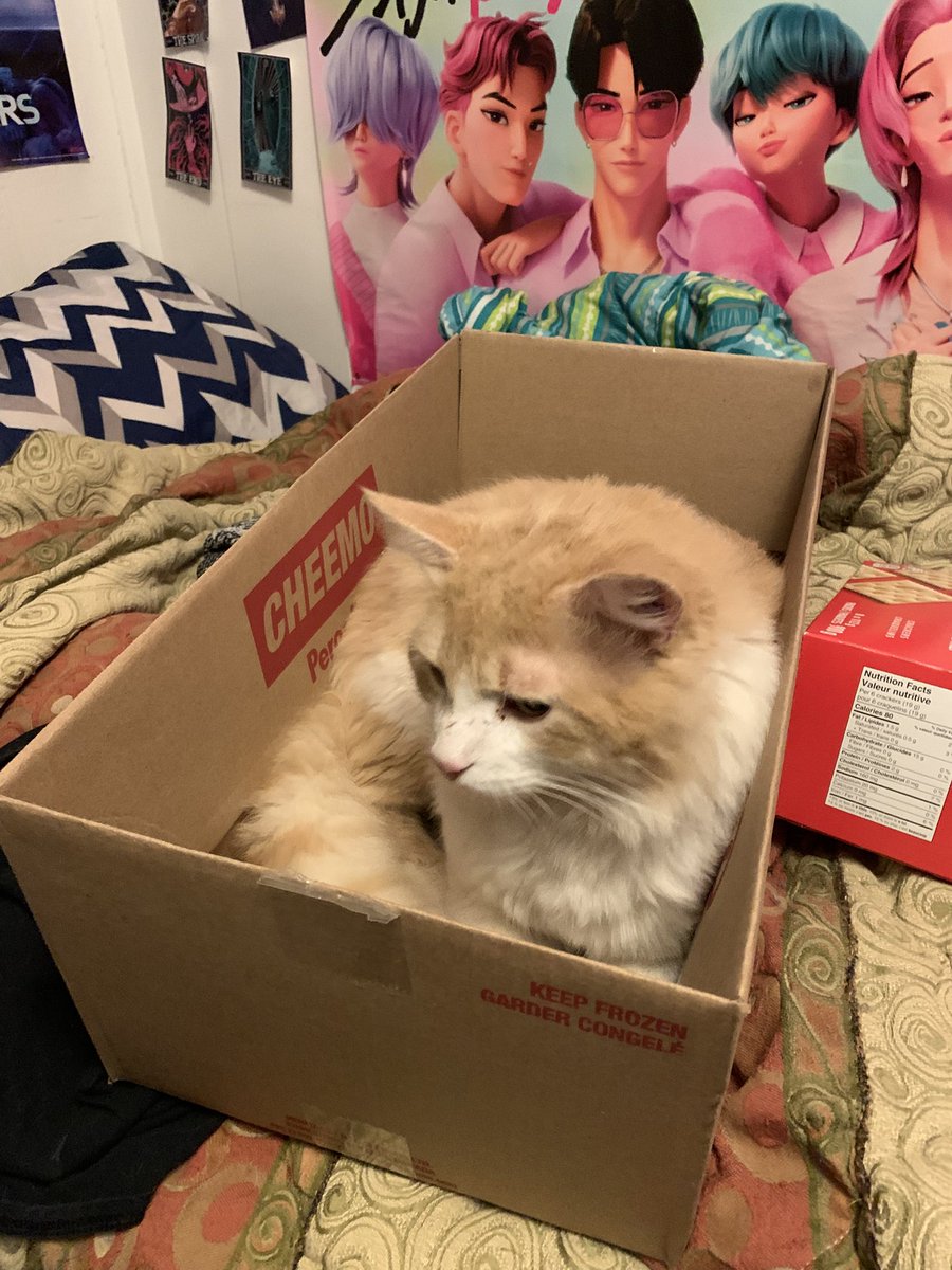 🩸🦇『jedidiah / leif / alice』 tweet media