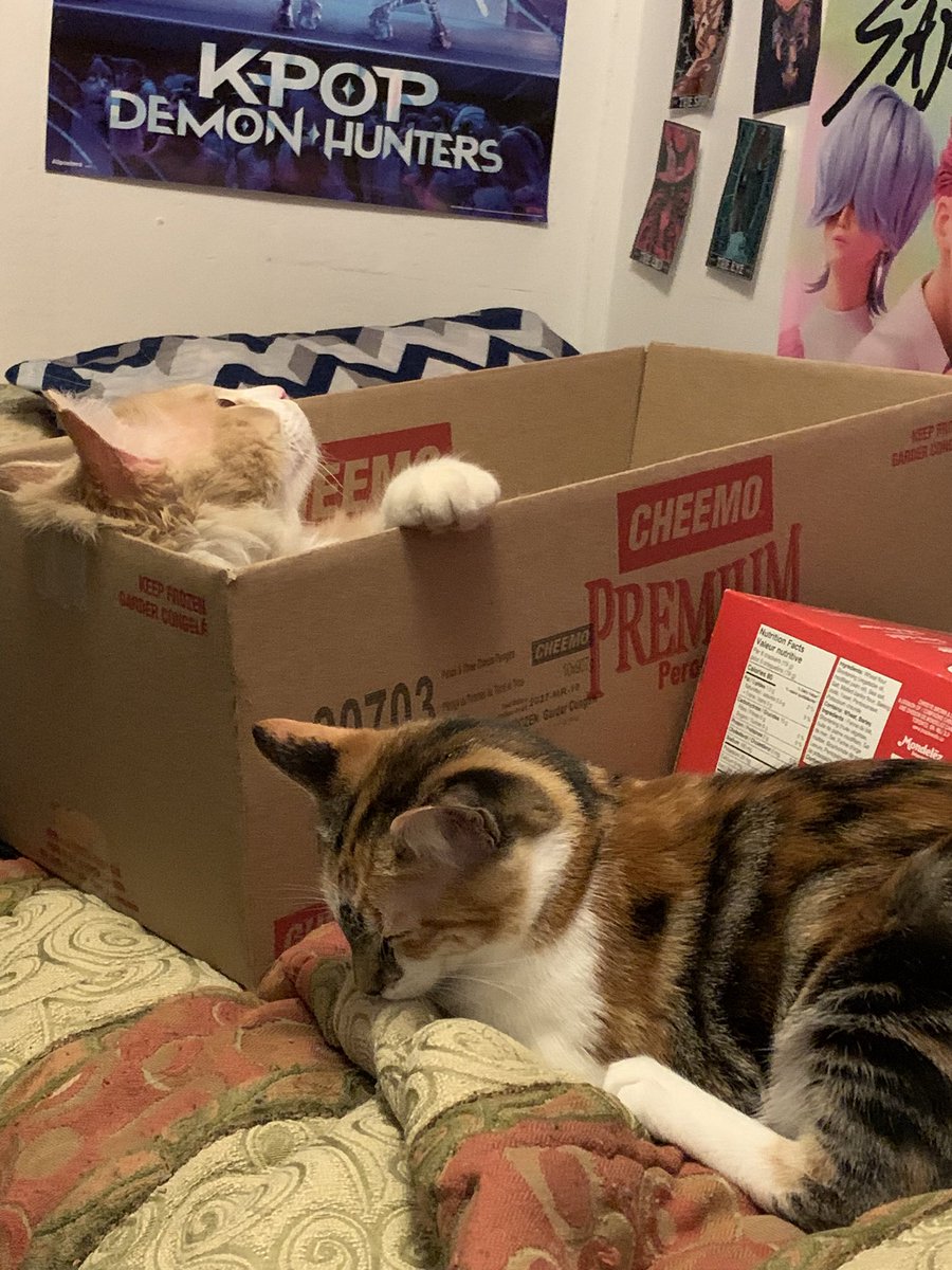 🩸🦇『jedidiah / leif / alice』 tweet media