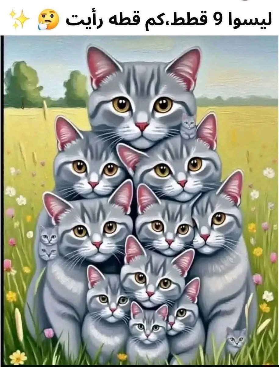 علي إسماعيل tweet media