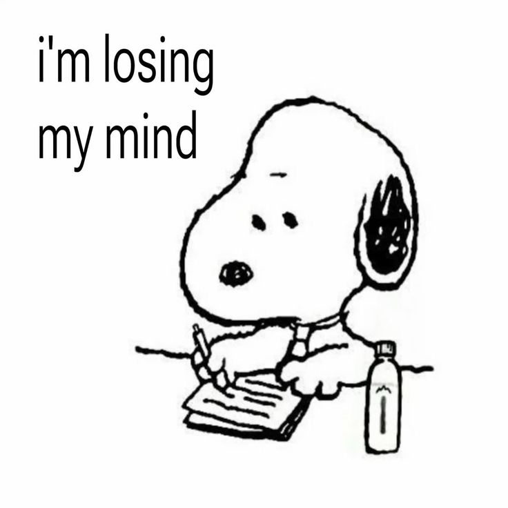 kiki * ⊹ ࣪ ˖ new in #studytwt tweet media