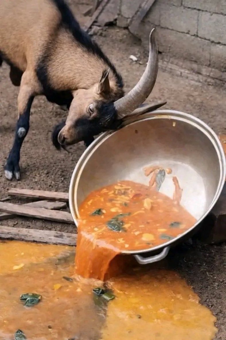 abuja stylist✰ tweet media