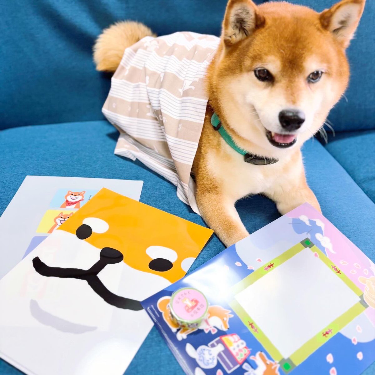 村田 夏佳 tweet media