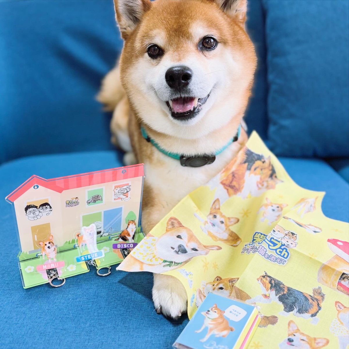 村田 夏佳 tweet media