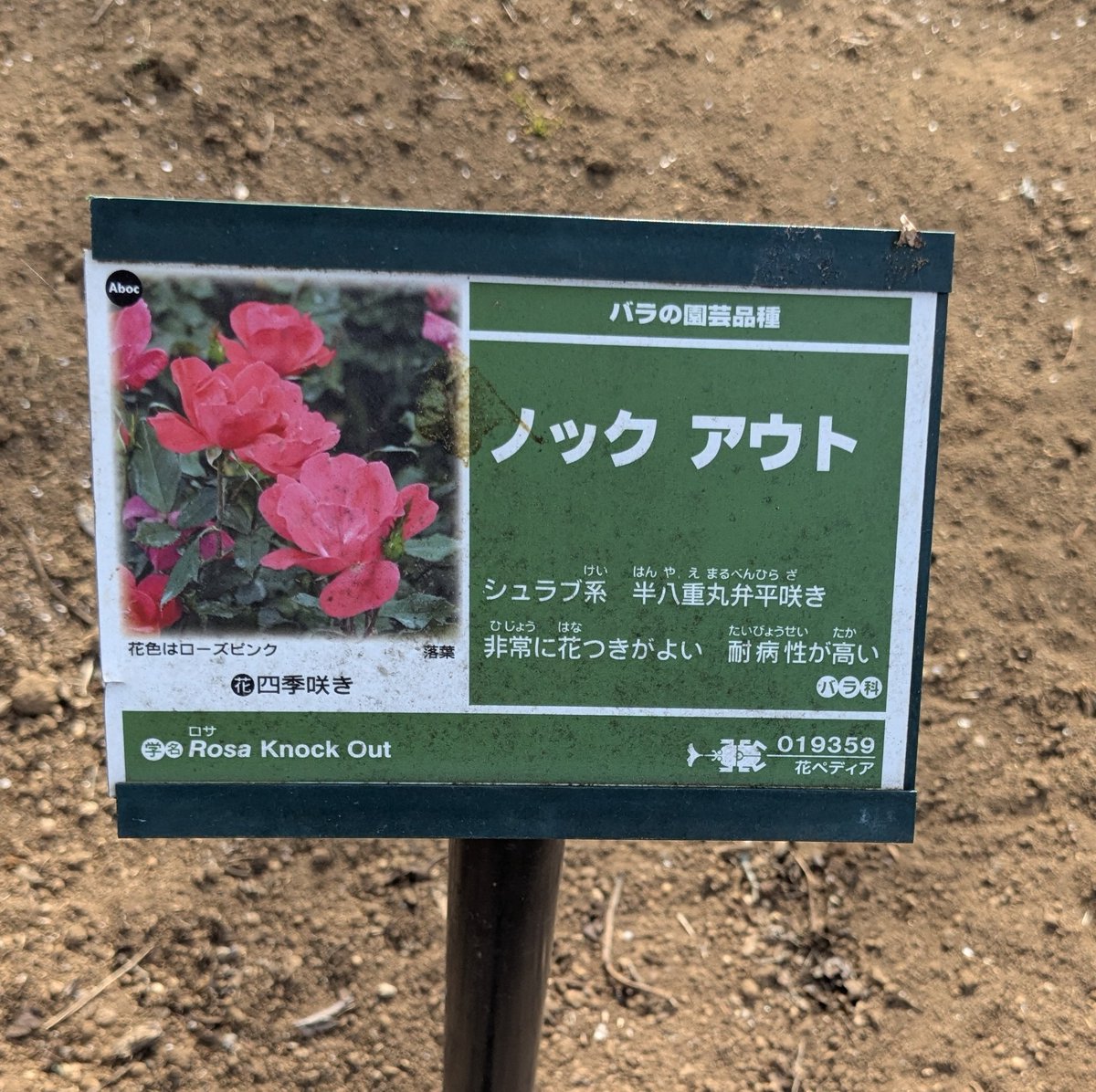 コピロフ【イラストAC、Tシャツ、LINEスタンプ販売中】 tweet media