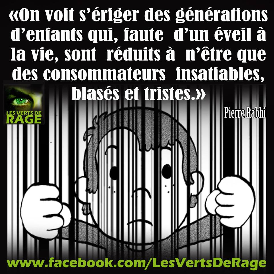 PBE 🦔🌳🐤🐾 tweet media