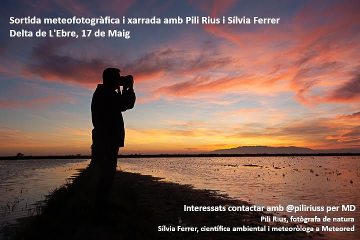 piliriuss's tweet image. El ciclo del arroz transforma el paisaje del Delta del Ebro, creando escenarios únicos llenos de reflejos. 🌾✨
El 17 de Mayo te esperamos en una salida #meteofotográfica junto a @sibilafc ,donde el cielo y el agua serán los grandes protagonistas. #deltadelebre #fotografia