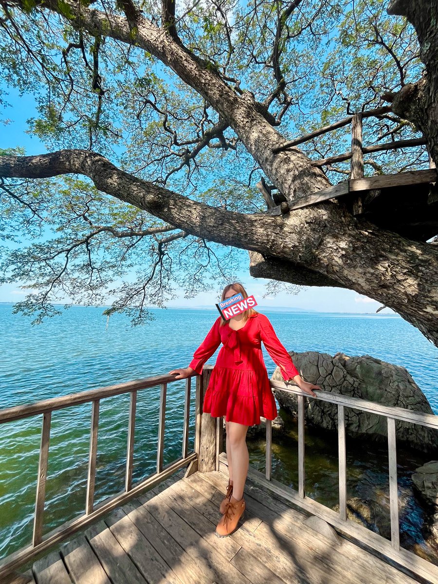 🌻candy🌻สาวสอง tweet media