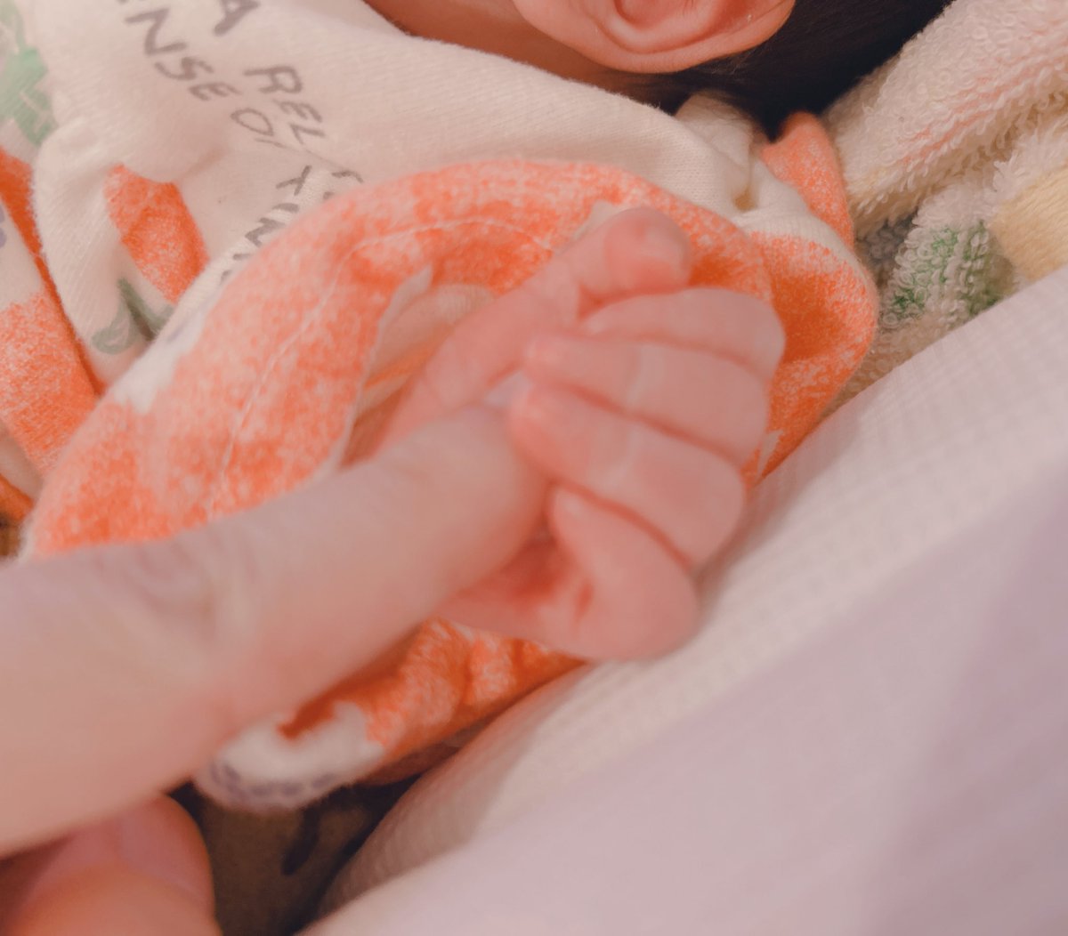 飽太郎 tweet media