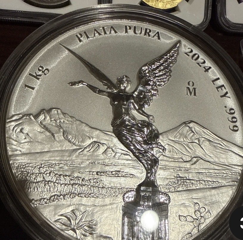 Dynamic Dog Daycare tweet media