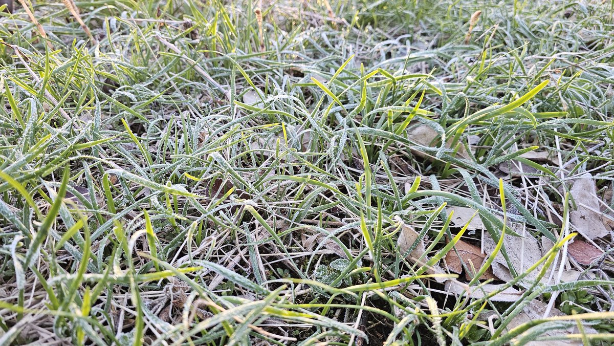 ㅇㄴㄱ tweet media