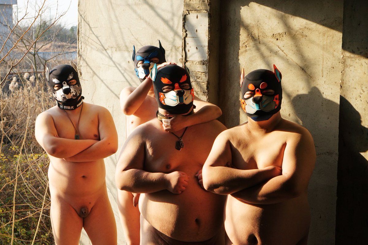 泰迪喵 tweet media