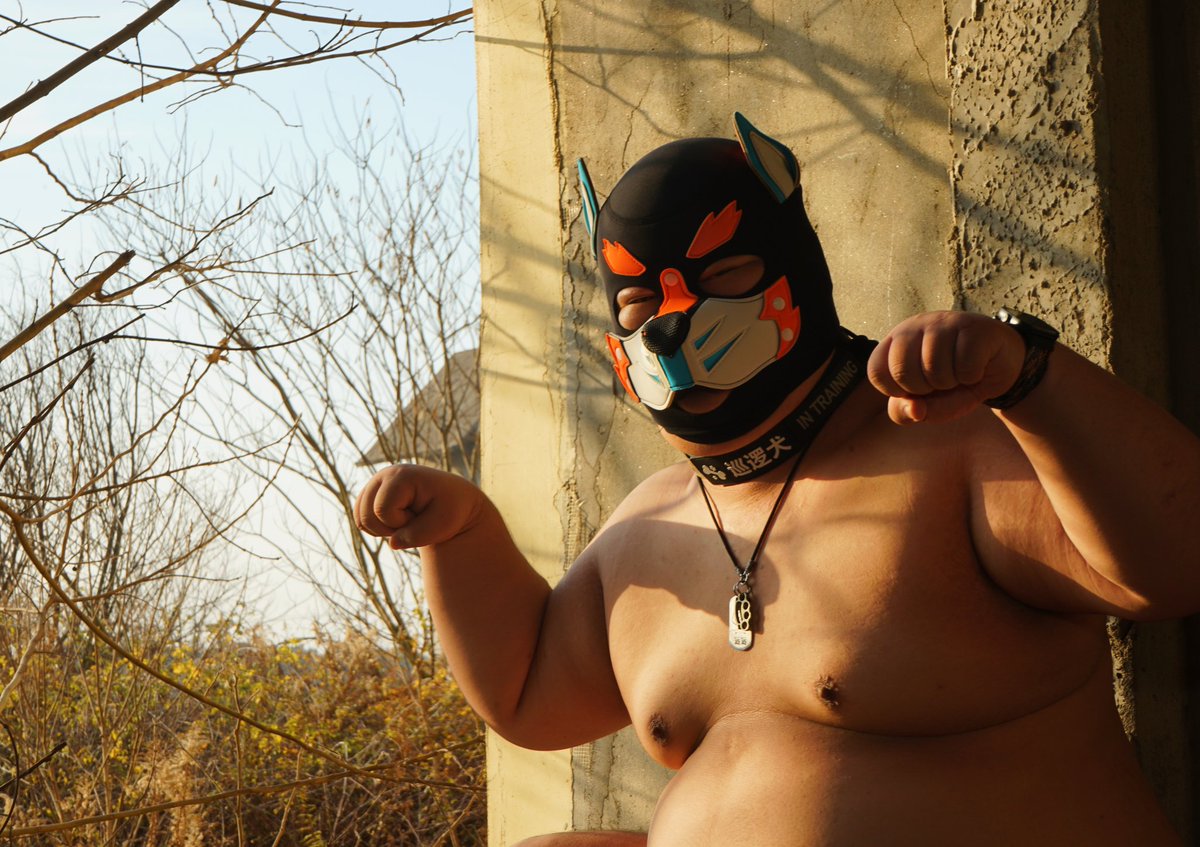 泰迪喵 tweet media