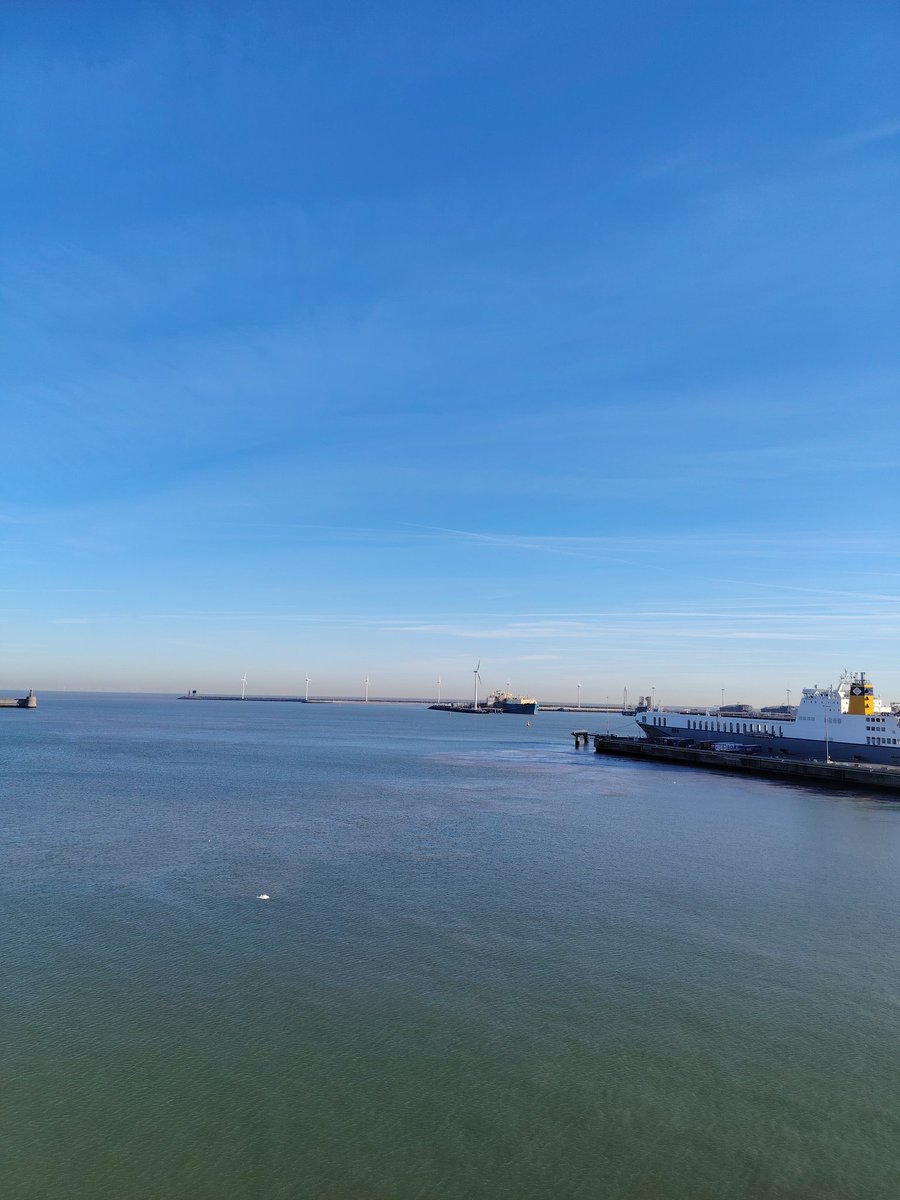 Kim Turner tweet media