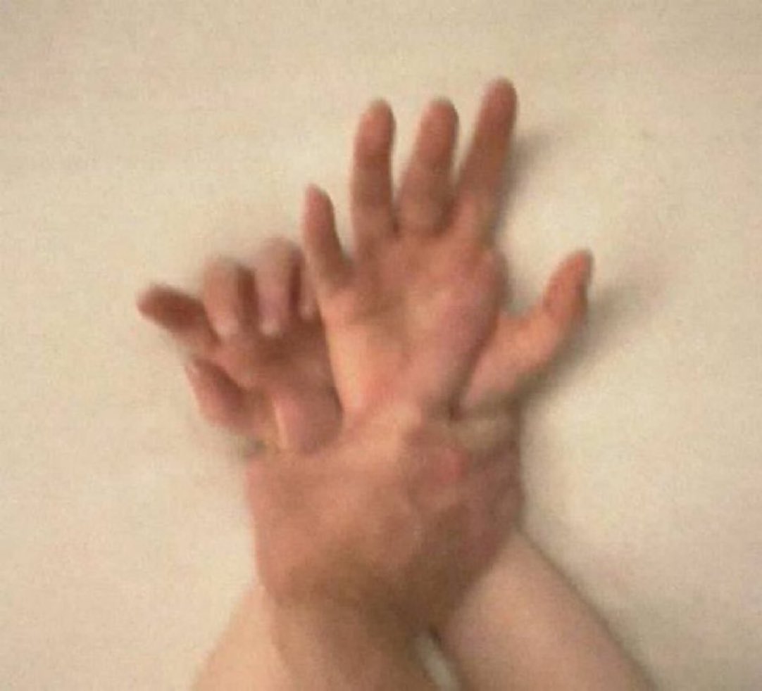 hoa trong gương tweet media