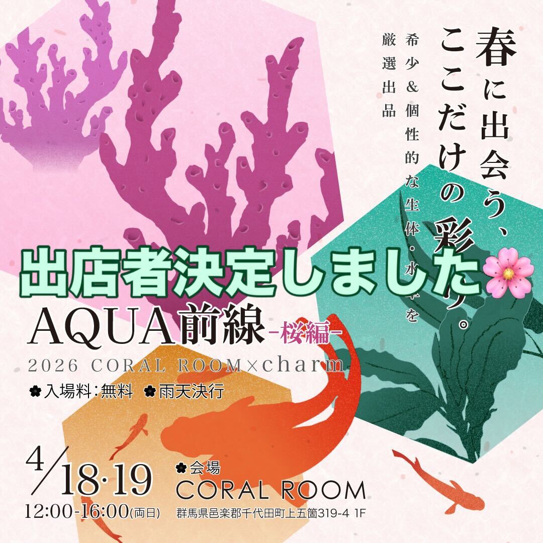 CORALROOM公式 tweet media