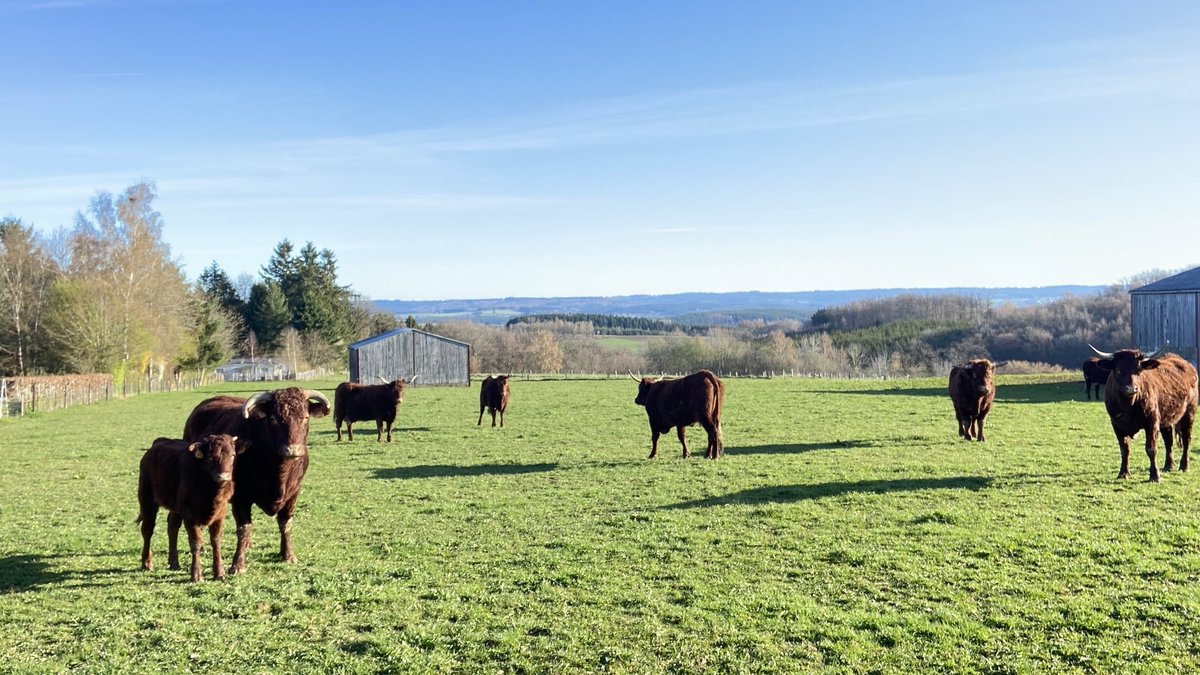 Breukers Hendricus tweet media