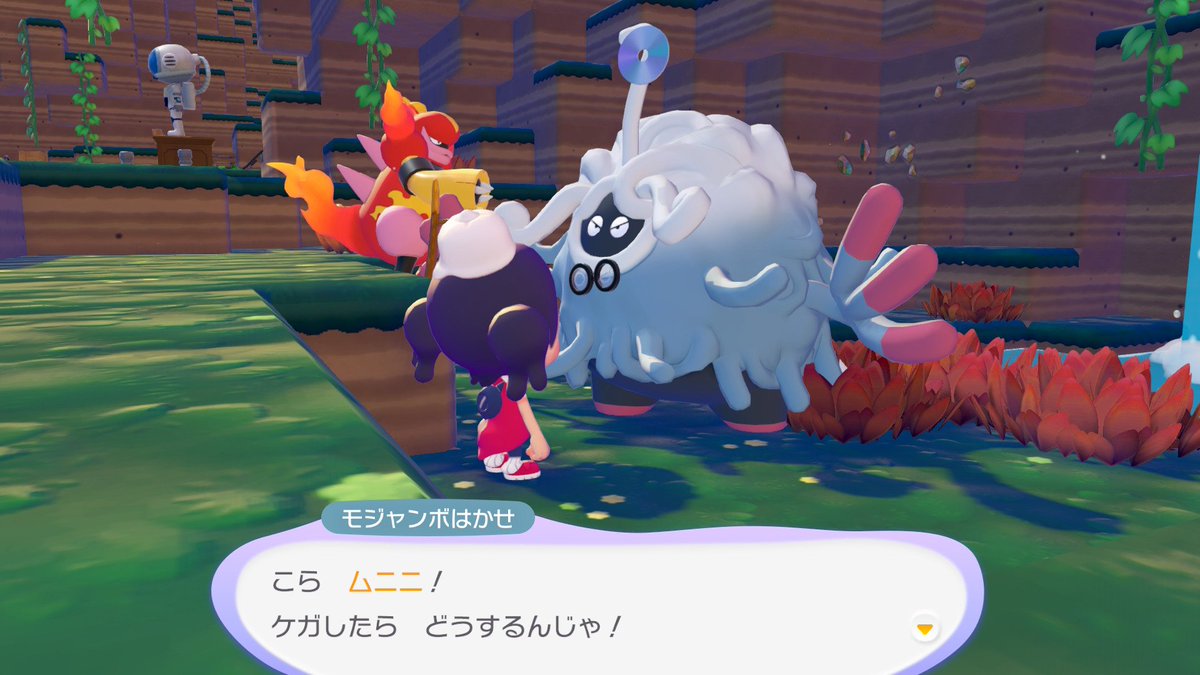 ばってん tweet media