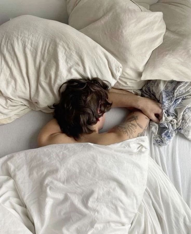 гвоздика tweet media