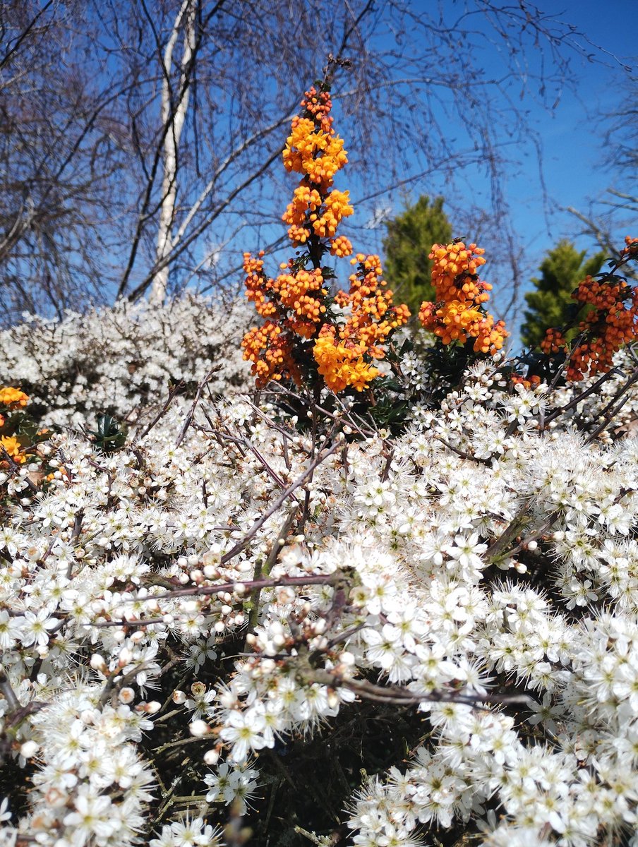 Generous God,
save us from the meanness
that calculates its interest and hoards its earthly gain;
as we have freely received,
so may we freely give;
in the grace of Jesus Christ our Lord. Amen