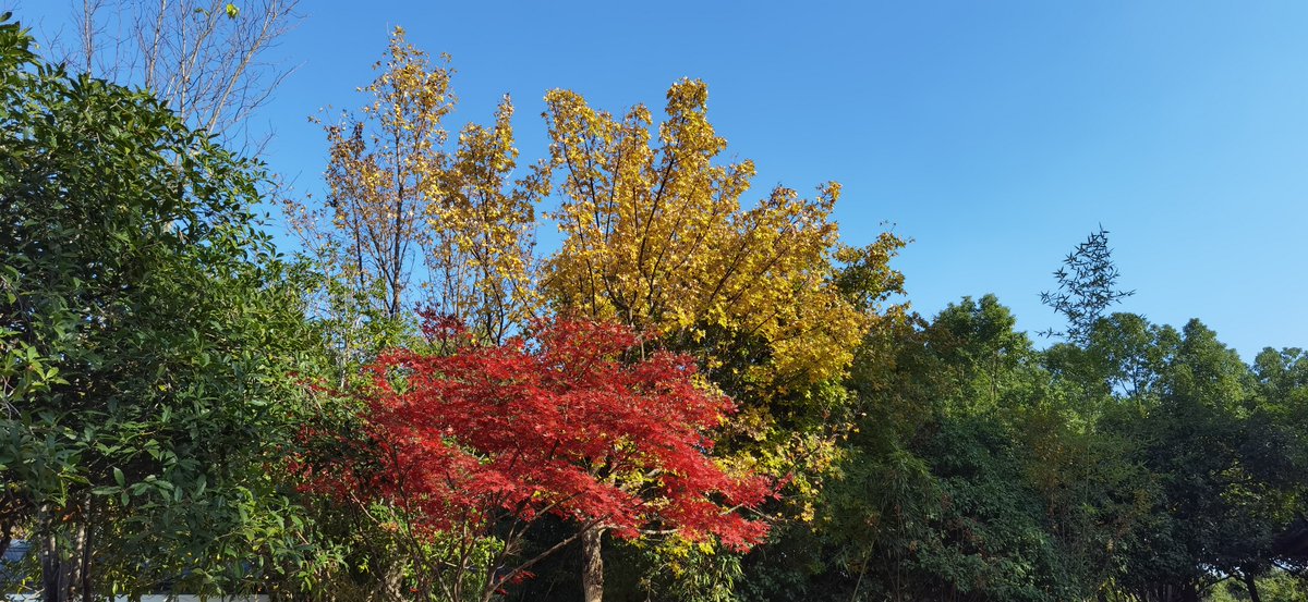 Mehreen Asad tweet media