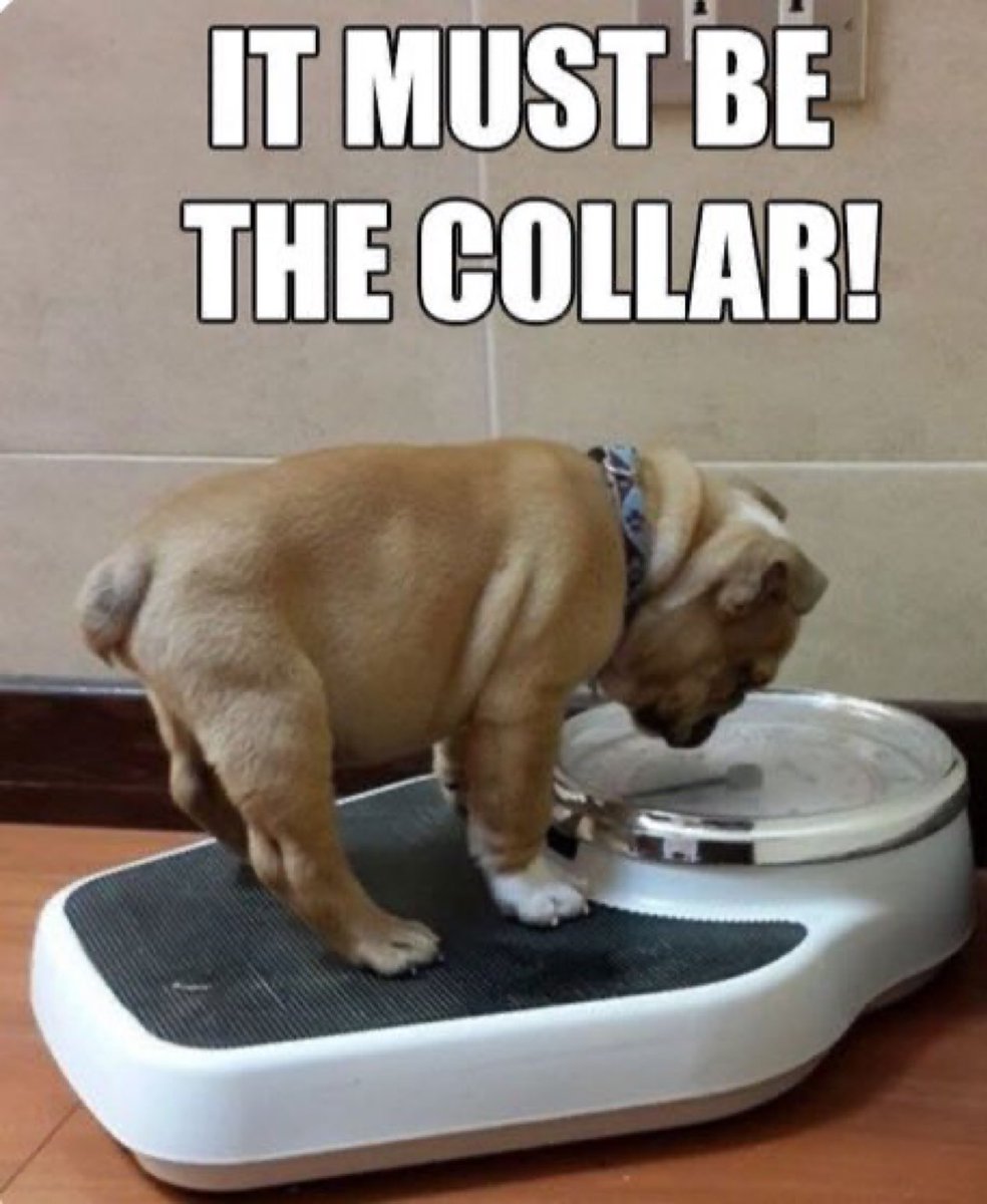 Phil Sledge tweet media