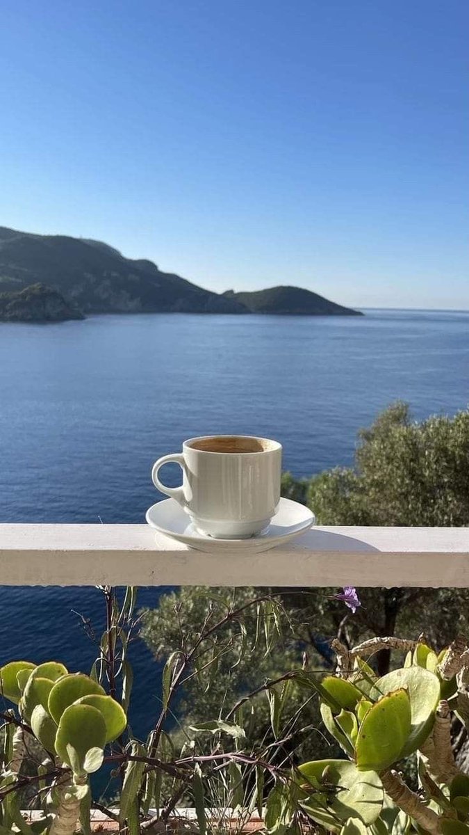 nicola h tweet media